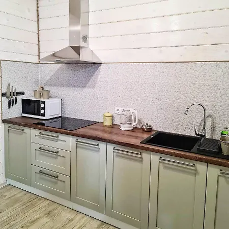 Appartement Debryanets