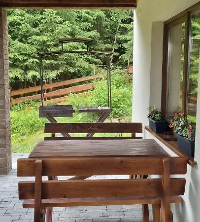 Appartement Debryanets *