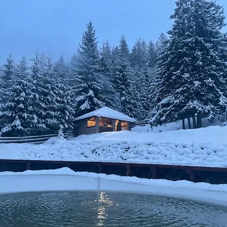 Appartement Debryanets *