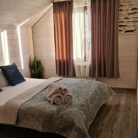 Appartement Debryanets