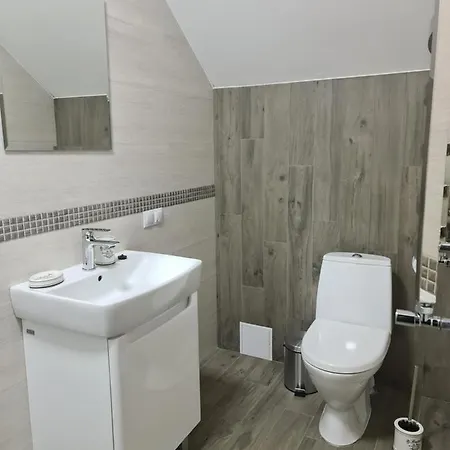 Debryanets Apartment *