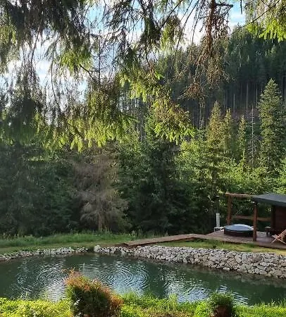 Debryanets Rozhanka Nizhnyaya