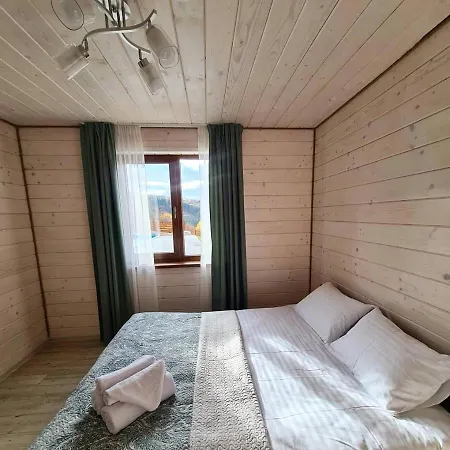 Debryanets * Rozhanka Nizhnyaya