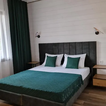 Debryanets * Rozhanka Nizhnyaya