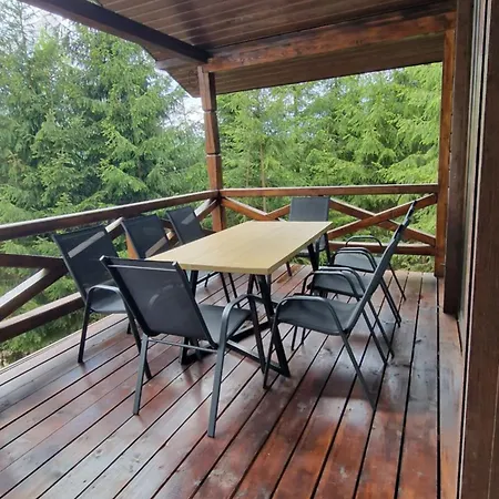 Debryanets Apartment *