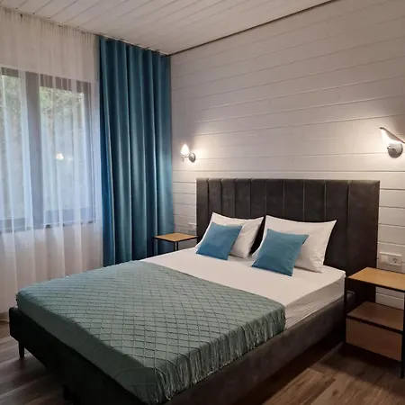 Appartement Debryanets